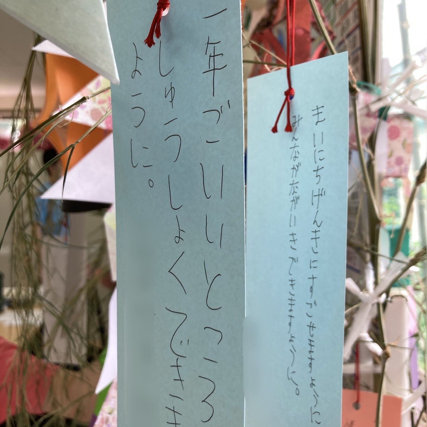 image11.jpeg